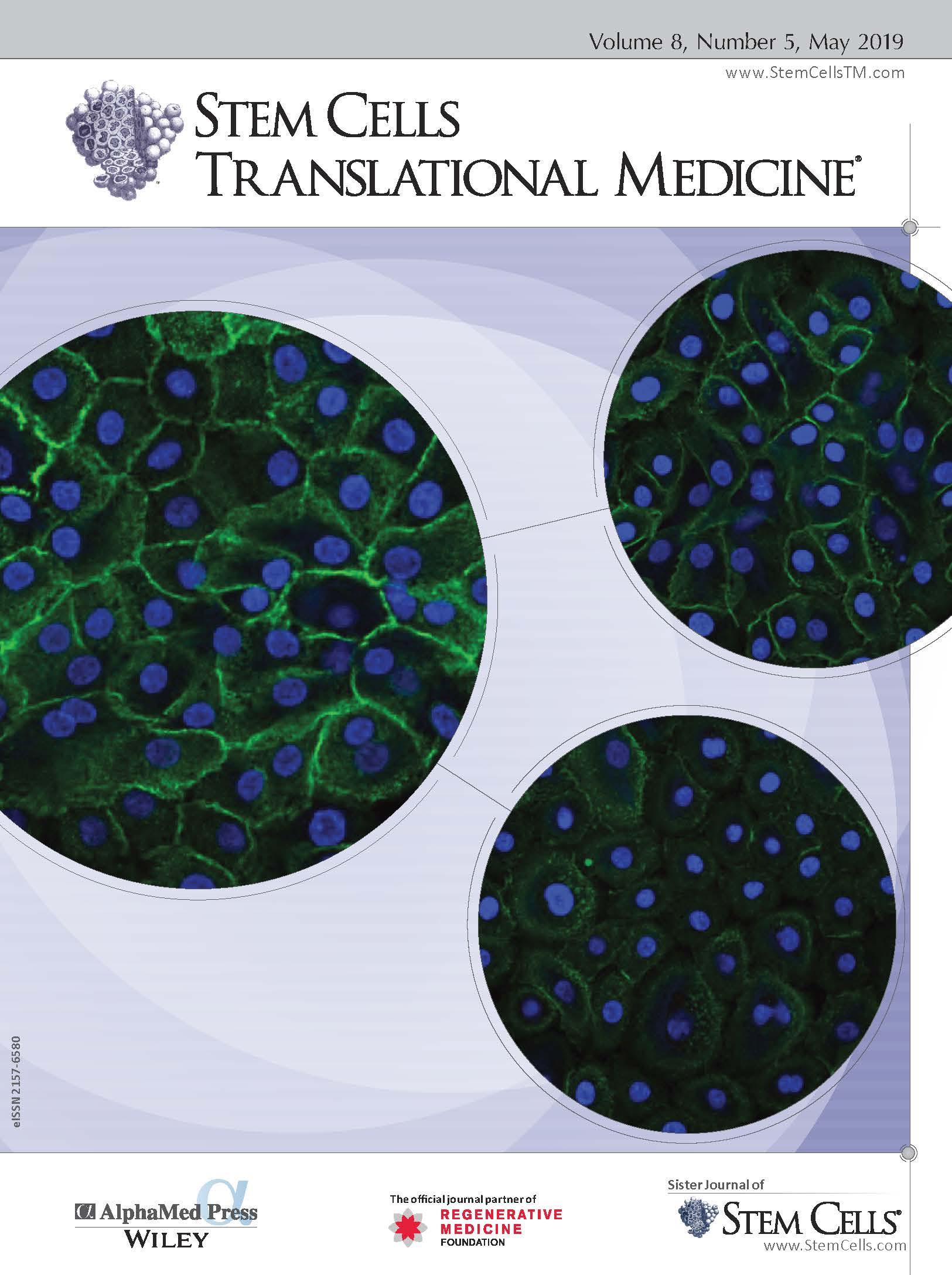 SPARK scholar’s work makes the cover of Stem Cells Translational Medicine
