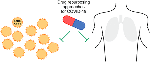 Dr. Shirit Einav publishes review of repurposed drugs for COVID