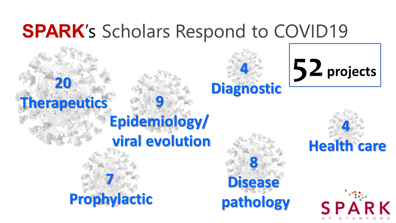 SPARK scholars pivot to COVID-19 research
