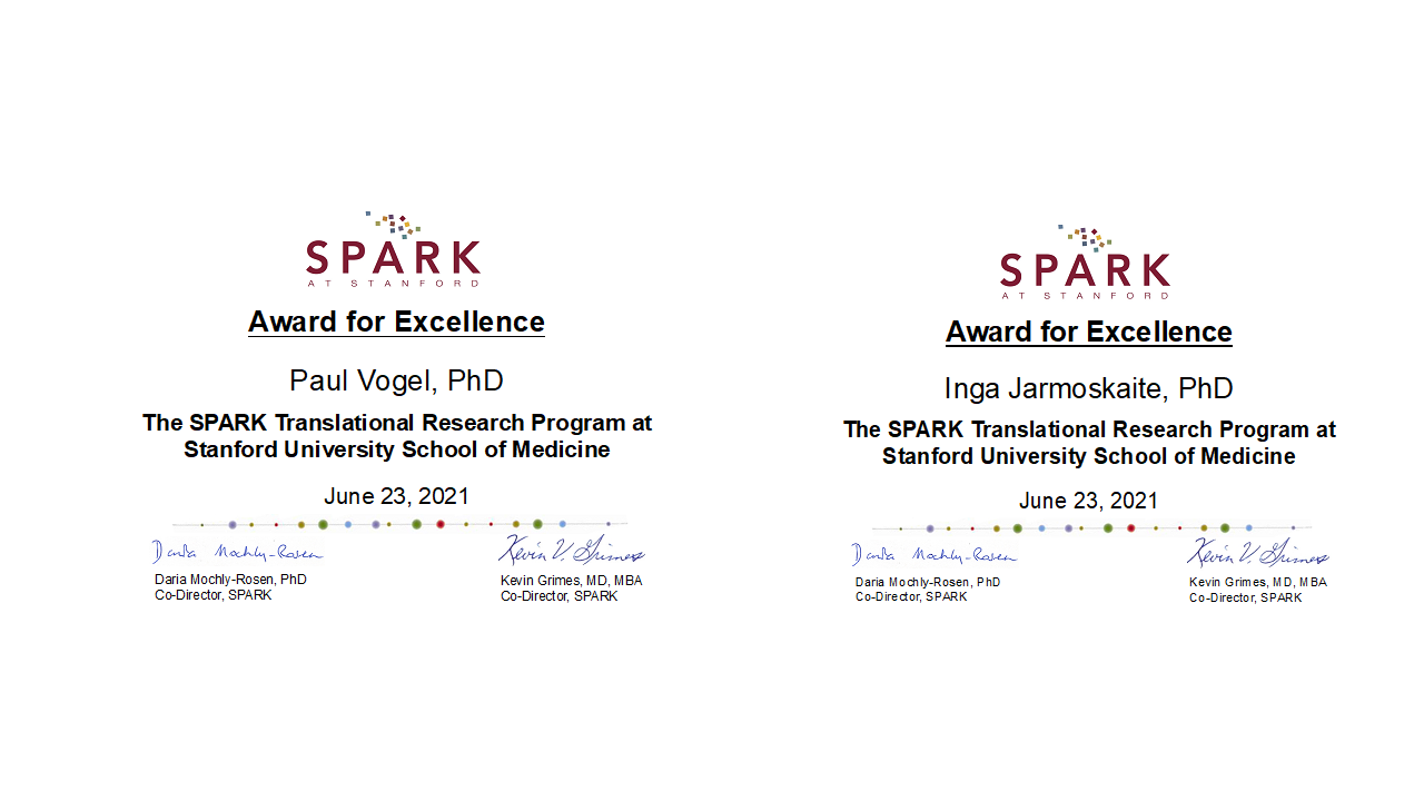 Paul Vogel and Inga Jarmoskaite receive SPARK Award for Excellence